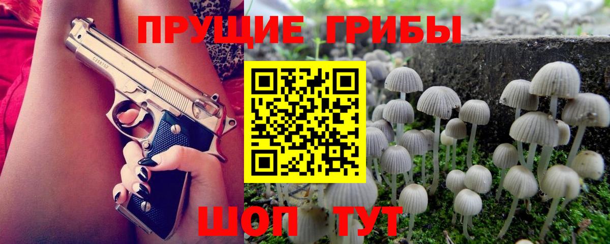 Зима  Галлюциногенные грибы Psilocybine cubensis  Вход с VPN  Галлюциногенные грибы прущие грибы 